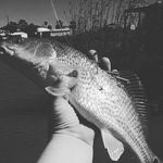 gavin tate - @gavin_tate325 - Instagram