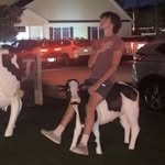 Gavin Thomas - @gavin_thomas.08 - Instagram