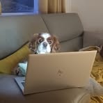 Gavin Thurston - Facebook
