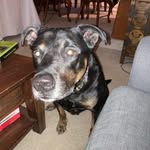 Gavin Thurston - @destroyer1297473 - Instagram