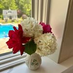 Ellen Gavin Tierney - @etierney1 - Instagram