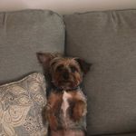 Gavin Todd - @gavintodd15 - Instagram