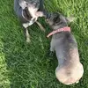 Gavin Todd - @gavin.todd8 - TikTok