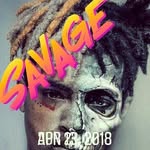 Gavin Todd - @gavintodd4 - Instagram