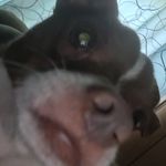 Gavin Topper - @gavin_topper - Instagram