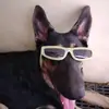 gavin trinidad - @gavintrinidad0 - TikTok