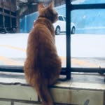 Gavin Tse - @tse5628 - Instagram