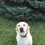 Gavin Turk - @gavin_turk - Instagram