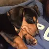 Gavin - @gavinandtyson - TikTok