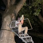 gavin tyson - @g.tyson13 - Instagram