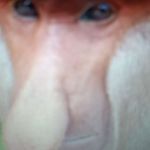 Gavin vaden - @vadengavin - Instagram