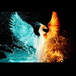 Gavin Vance - @_0_waffle_0_ - Instagram