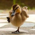 Gavin Vance - @gavin.vance21 - Instagram