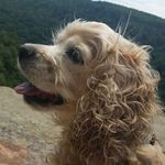 Gavin Vance - @gvance5657 - Instagram