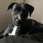 Gavin vance - @gavinvance67 - Instagram