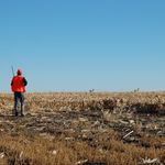 Gavin Vinkemeier - @gavin_vinkemeier1 - Instagram