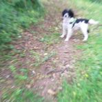 Gavin Wall - Facebook