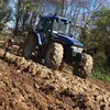 Gavin wall - @gavin.wall4 - TikTok