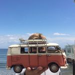 Gavin Wallace - @gavin._.wallace - Instagram