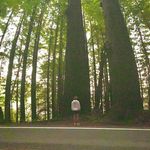 Gavin Walters - @gavinwalters_13 - Instagram