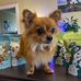 Gavin Wang - Facebook