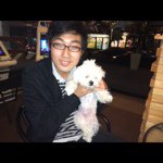 @gavin_wang - Instagram