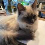 Gavin Wang - @gavinwang511 - Instagram