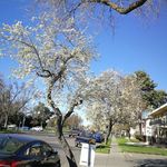 Gavin Wang - @gavin.wang.92351 - Instagram