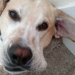 Gavin Waters - @g_waters000 - Instagram