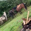Gavin_ Watters - @gavin_watters - TikTok