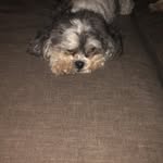 Gavin Watters - @yanoya2020 - Instagram