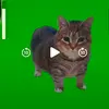Gavin Watters - @g.unit.13 - TikTok