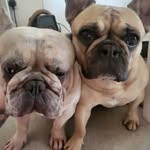 Gavin Hammond Watts - @hammondwatts - Instagram