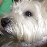 Gavin Watts - @gavin.watts.10 - Instagram