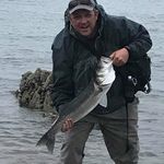 Gavin Watts - @gavin.watts_ - Instagram