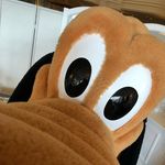 Gavin Watts - @gavinwatts13 - Instagram