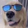 Gavin Weber - @gavin.621 - TikTok