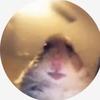 gavinweber11 - @ihatemylife821 - TikTok
