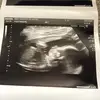 gavinwebster487 - @gavinwebster487 - TikTok