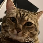 Gavin wells - @gavin_wells__ - Instagram