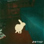 Gavin Wendt - @gavin.wendt - Instagram