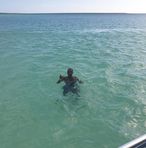 Gavin Whitehead - Facebook