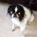 Gavin Wilk - Facebook