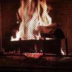Gavin Willard - @gavin_willard81 - Instagram