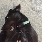 GavinWillard - @gavin_willard0240 - Instagram