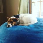 Gavin Winters - Facebook