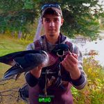 Gavin Witt - @gavin.witt - Instagram