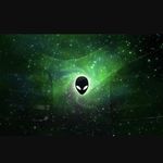 Gavin Witt - @gavindwitt - Instagram
