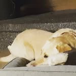 gavin#11 - @gavin.workman45 - Instagram