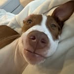 Gavin Workman - @gavinjworkman_ - Instagram